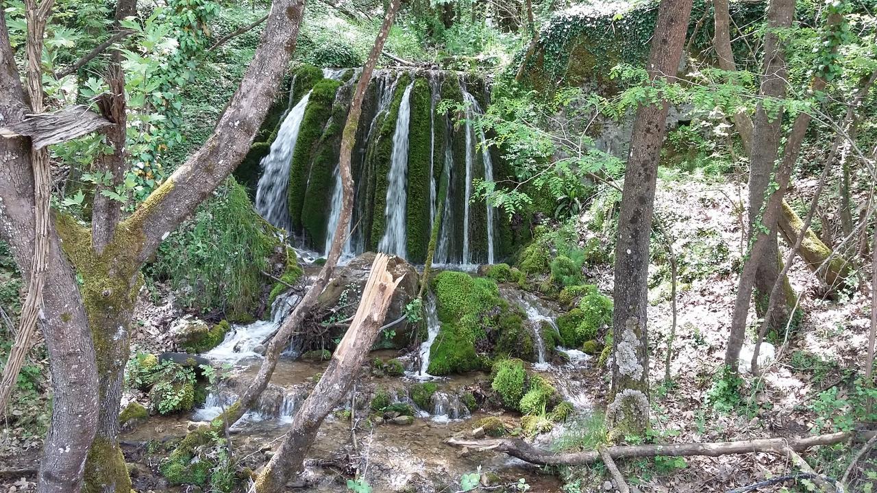 Kedros Chalet Agios Dimitrios  Luaran gambar